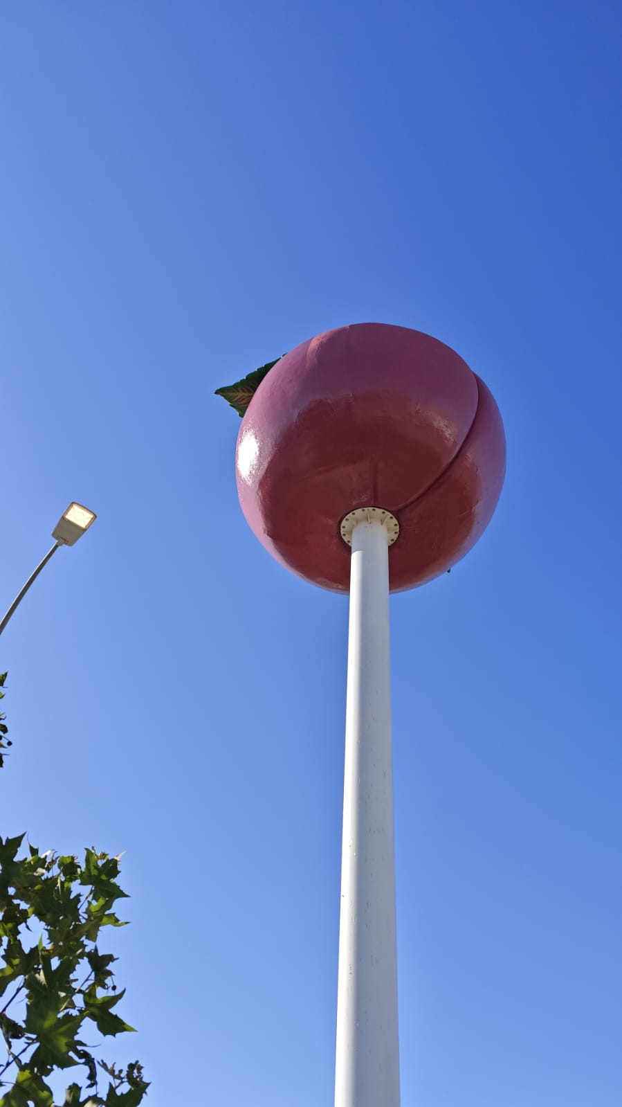 Trabajos de restauración conmemorativos