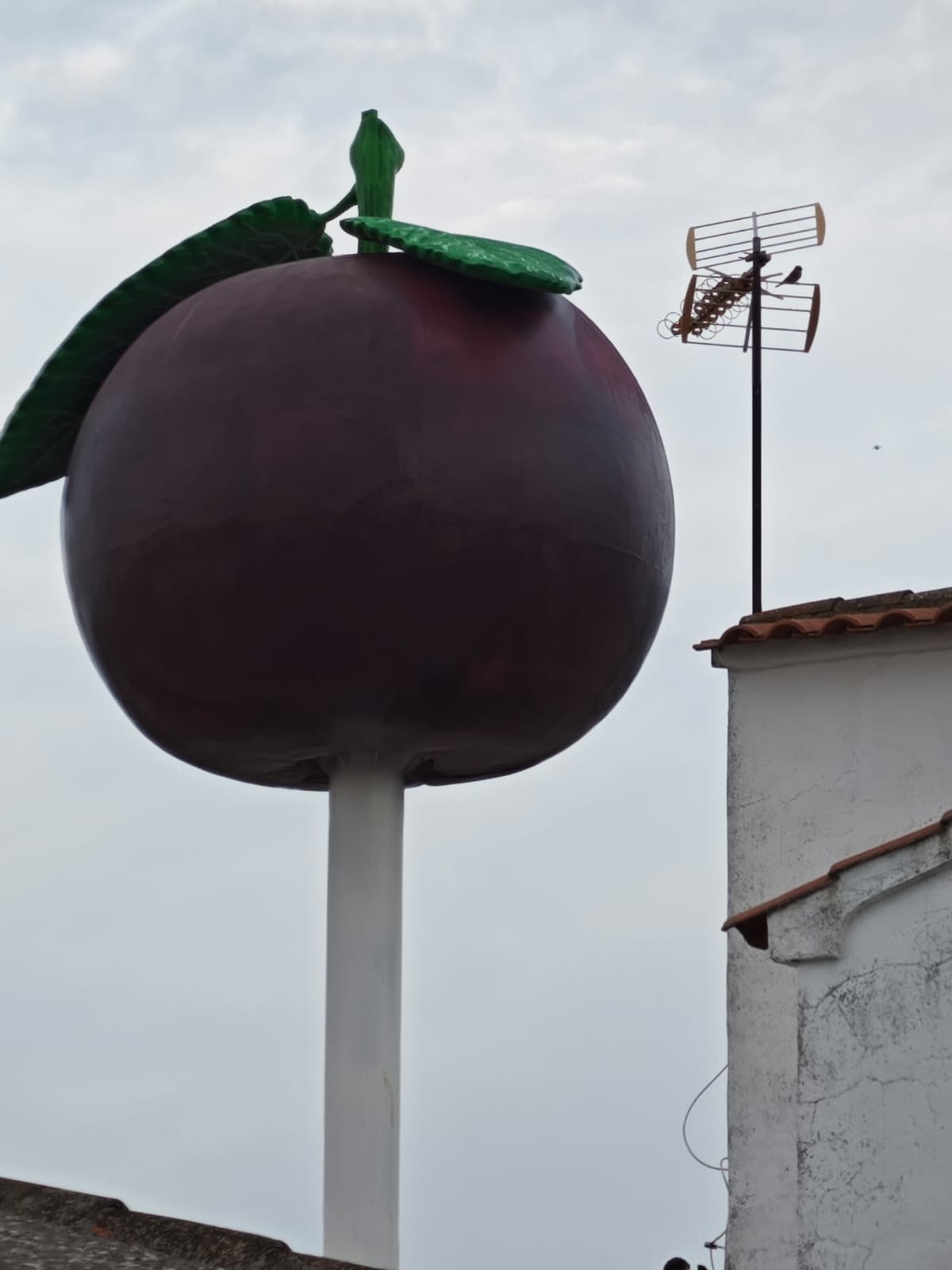 Trabajos de restauración conmemorativos